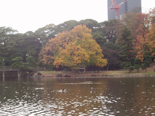 img0039.jpg
