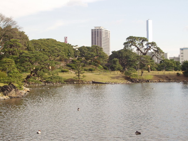 img0040.jpg