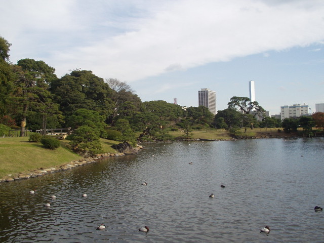 img0041.jpg