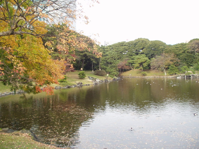 img0043.jpg