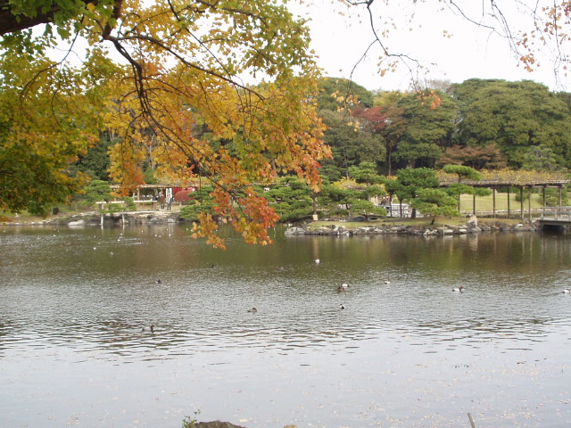 img0044.jpg