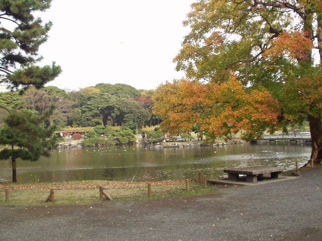 img0045.jpg