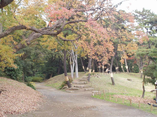 img0046.jpg