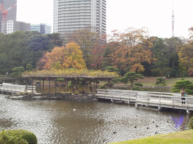img0050.jpg