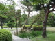 img0003.jpg