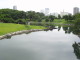 img0009.jpg