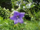 img0011.jpg