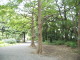 img0012.jpg