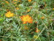 img0015.jpg
