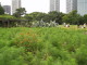 img0020.jpg