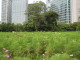 img0021.jpg