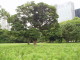 img0026.jpg