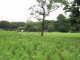 img0028.jpg