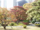 img0031.jpg