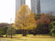 img0032.jpg