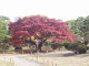 img0034.jpg