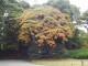 img0038.jpg