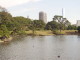 img0040.jpg