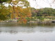 img0044.jpg