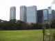 img0051.jpg