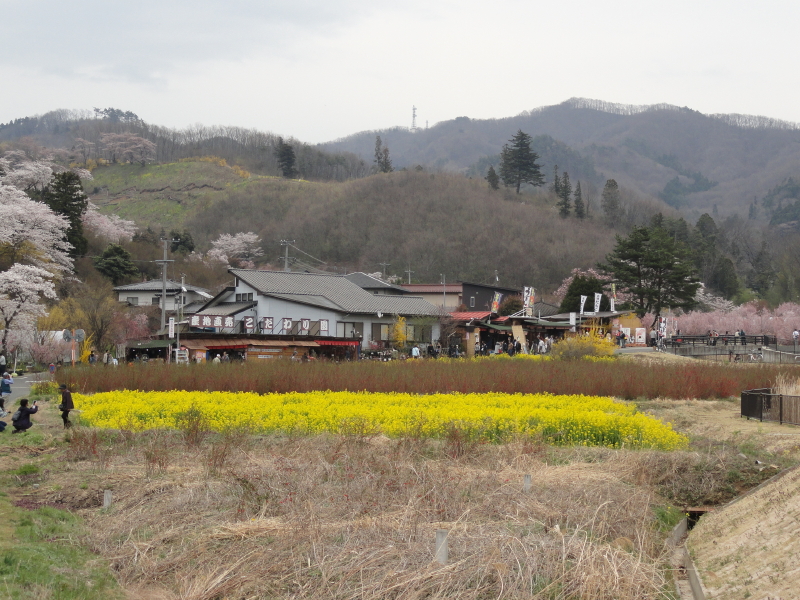 img0002.jpg