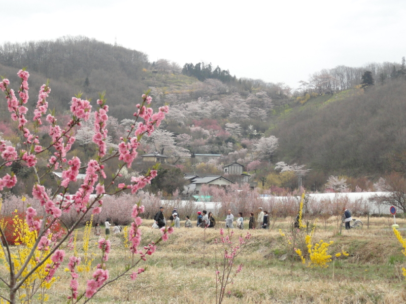 img0014.jpg