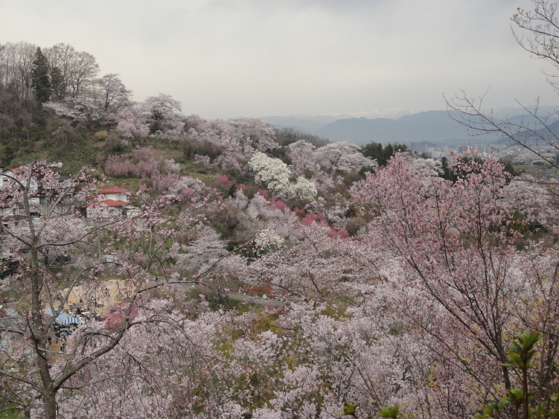 img0035.jpg