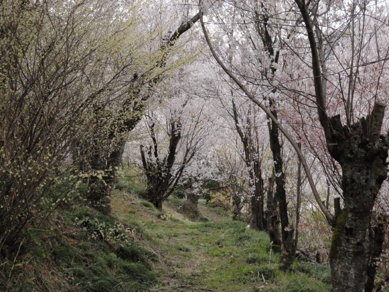img0040.jpg