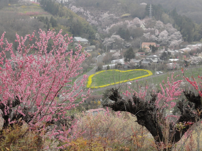 img0046.jpg