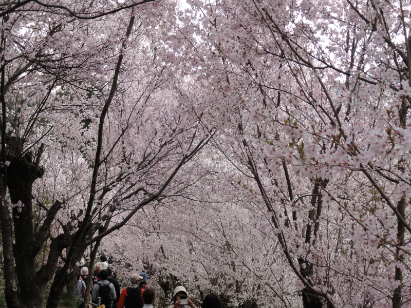 img0052.jpg