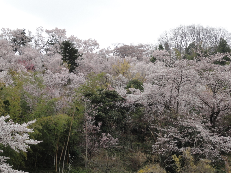 img0064.jpg