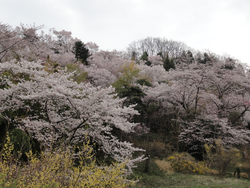 img0065.jpg