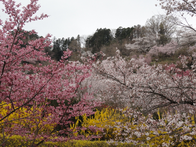 img0071.jpg