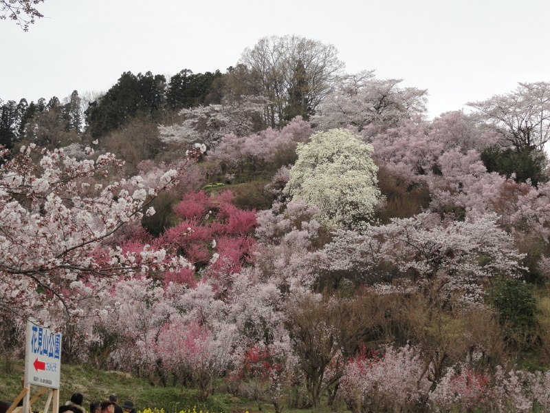 img0073.jpg