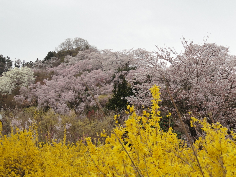 img0074.jpg