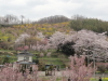 img0000.jpg