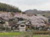 img0001.jpg