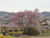 img0003.jpg