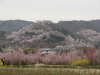img0006.jpg