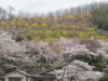 img0007.jpg
