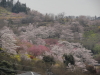 img0008.jpg