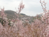 img0010.jpg