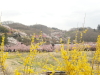 img0011.jpg