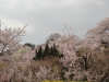 img0016.jpg