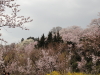 img0017.jpg