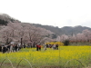 img0018.jpg