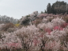 img0021.jpg