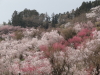 img0022.jpg