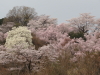 img0023.jpg