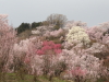 img0026.jpg